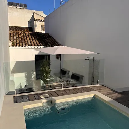 Hébergement de vacances Unique Townhouse With Rooftop Pool *